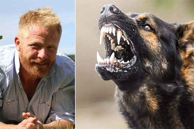 Hundcoachen Fredrik Steen biten under polishundsträning – pekar på eget misstag