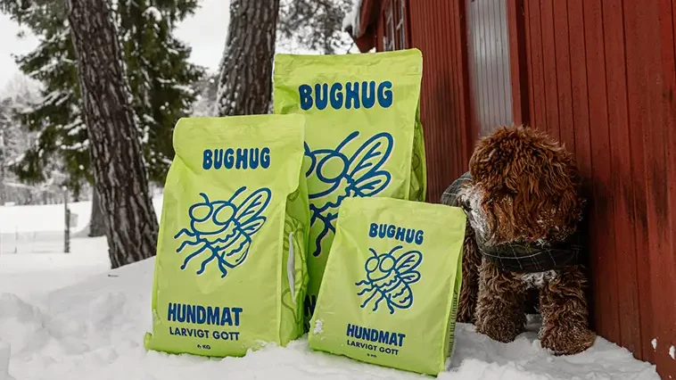 Insektsbaserad hundmat tar klivet in i vardagen – svenska BugHug vill förändra marknaden