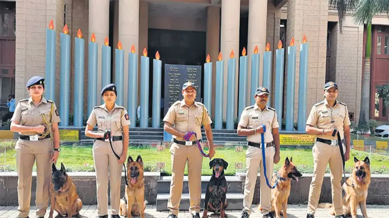 K9-enhetens insats i Mysuru: Nära 300 uppklarade fall på fem år