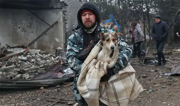 Dödlig attack mot djurhem i Ukraina – minst 13 hundar dödade