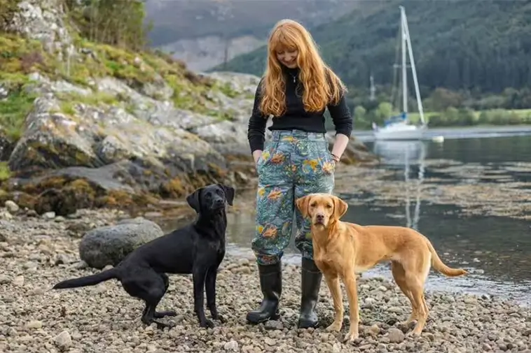 Först i världen: Labradoren Uisge kan lukta sig till "havsspya" – unik träning mot invasiv art
