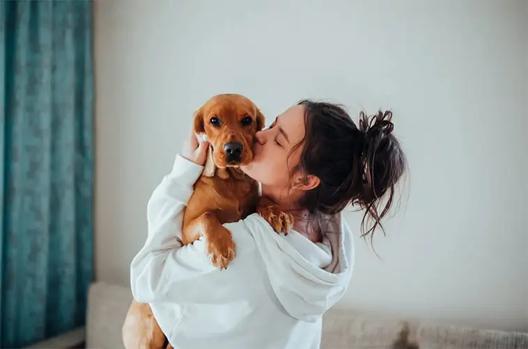 Hund före partner? Ny studie visar hur relationerna förändras