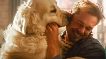 Därför blir hunden överlycklig när du kommer hem – och det handlar inte bara om kärlek
