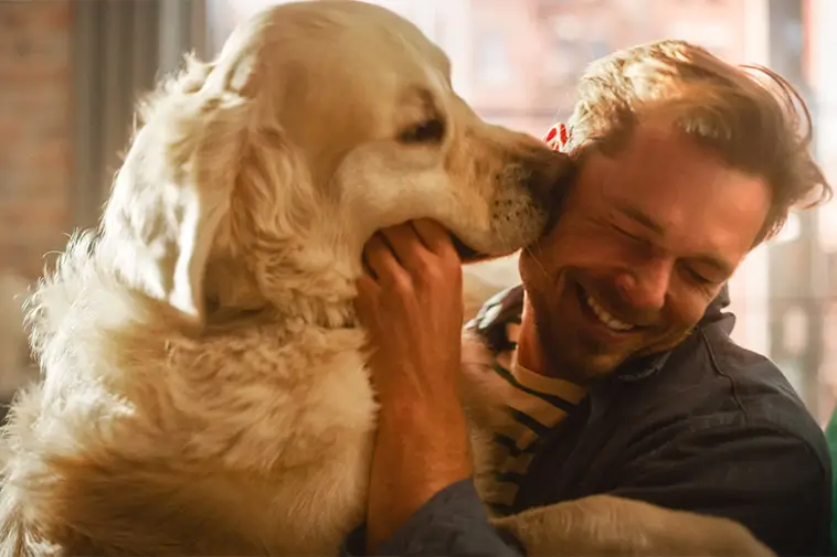 Därför blir hunden överlycklig när du kommer hem – och det handlar inte bara om kärlek
