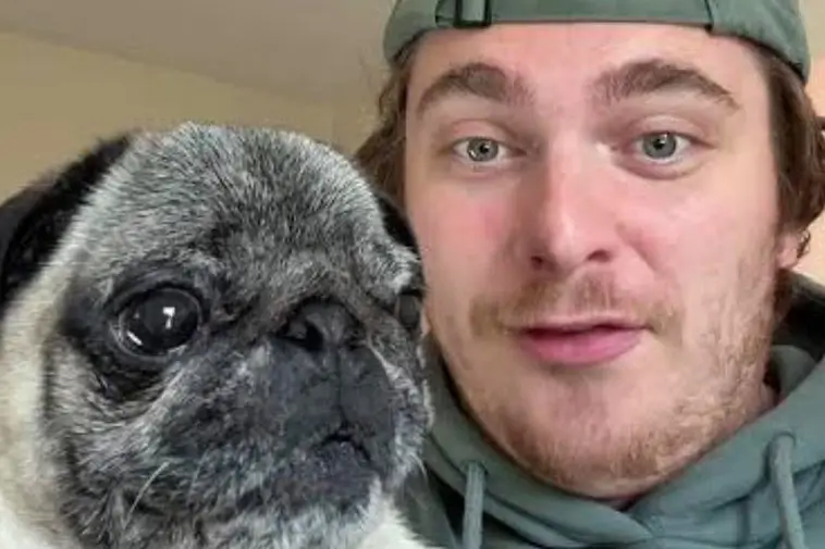 Influencer erkänner fejkad hundkidnappning – möts av kraftig kritik