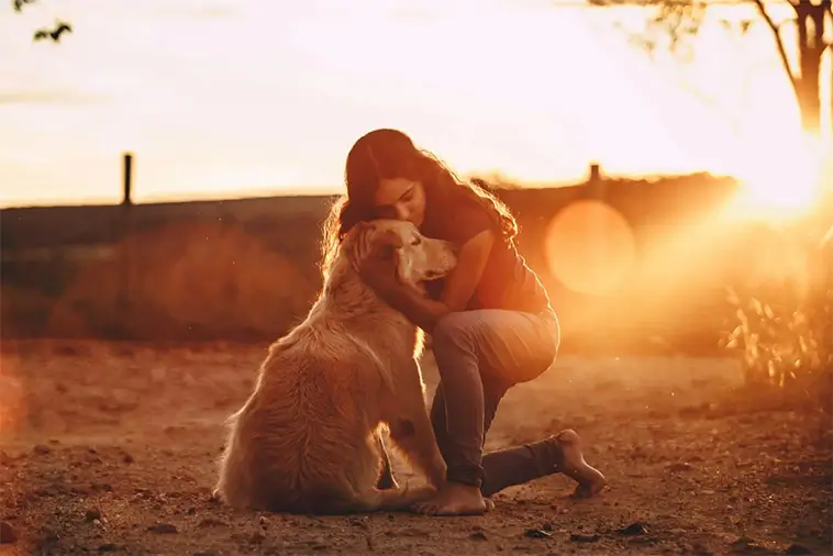 När hunden dör – sorgen som kan slå hårdare än vi vågar erkänna