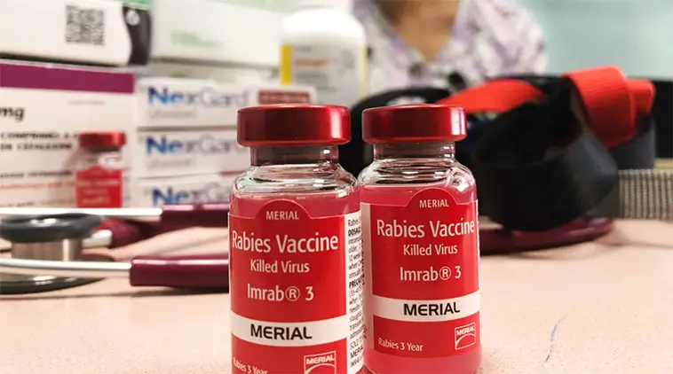 Rabiesvaccin återkallas i USA – vad betyder det för svenska hundägare?