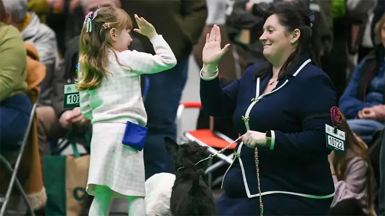 Treårig tjej den yngsta någonsin att kvalificera sig till Crufts med sin Dvärgschnauzer