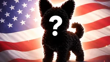 Här är nya blandrashunden som tagit USA med storm