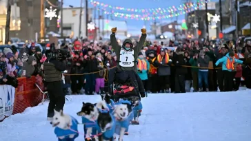 Seger och kritik efter årets slädhundstävling Iditarod – hunddöd väcker debatt
