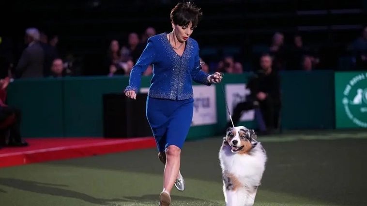 Crufts – världens största hundutställnings historia i bilder