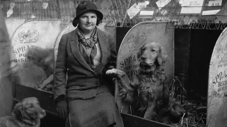 Crufts – världens största hundutställnings historia i bilder