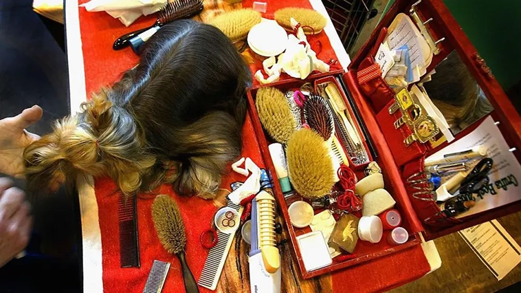 Crufts – världens största hundutställnings historia i bilder