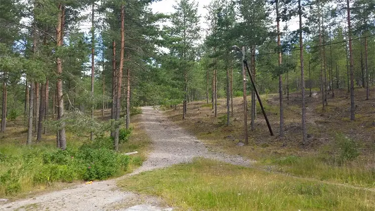 Skräckfynd i grusgrop – död hund upptäckt under promenad