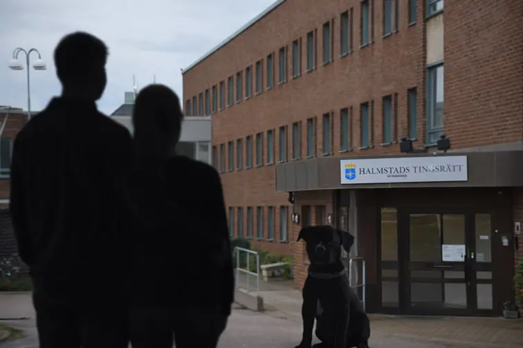 Prime Video inför reklam – betala extra för en annonsfri upplevelse