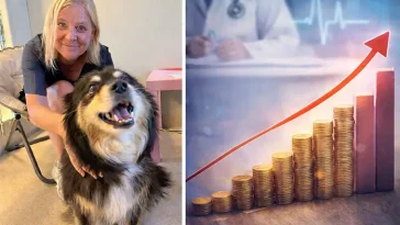 Magdalena Andersson: "Veterinärpriserna har blivit för höga"