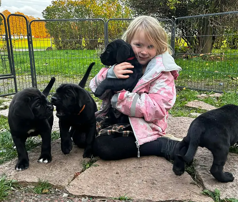 Månadens vovve: Cera – gårdens lilla gangster