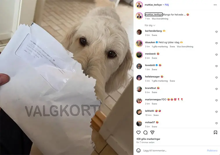 Ministerns röstkort uppätet – av familjens egen hund