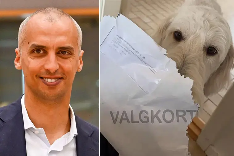 Ministerns röstkort uppätet – av familjens egen hund