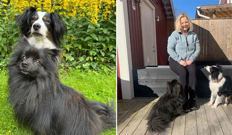 Ny bok ska hjälpa hundägare i kris – "du är inte ensam"