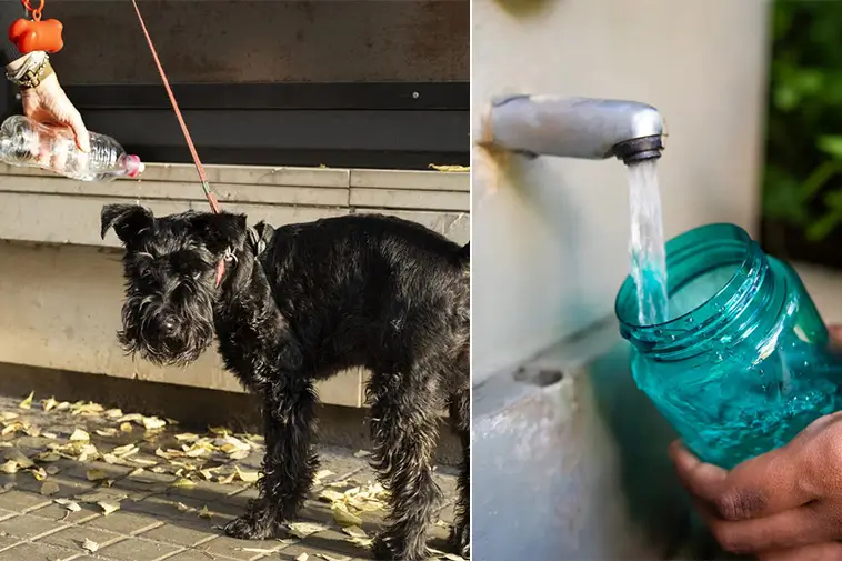 Prime Video inför reklam – betala extra för en annonsfri upplevelse