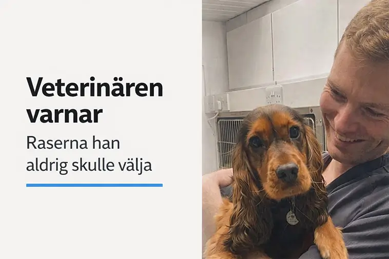 Veterinären varnar: Populära hundraser med dolda hälsorisker