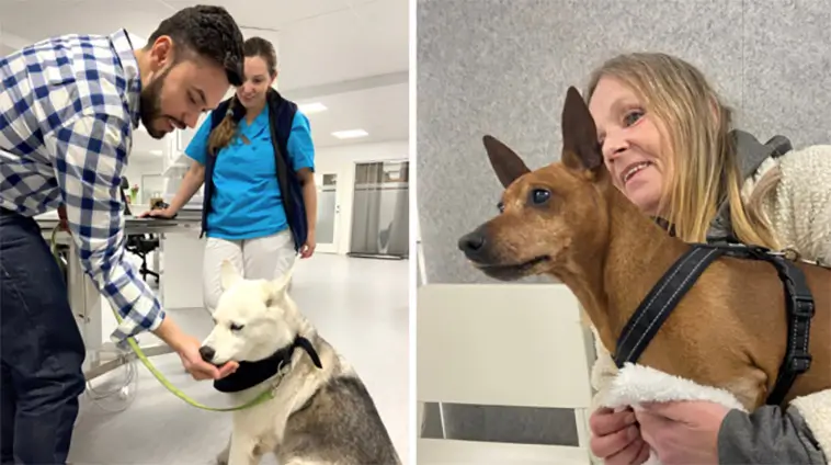 Veterinärkliniken öppnade dörrarna – bjöd utsatta hundägare på gratis djurvård