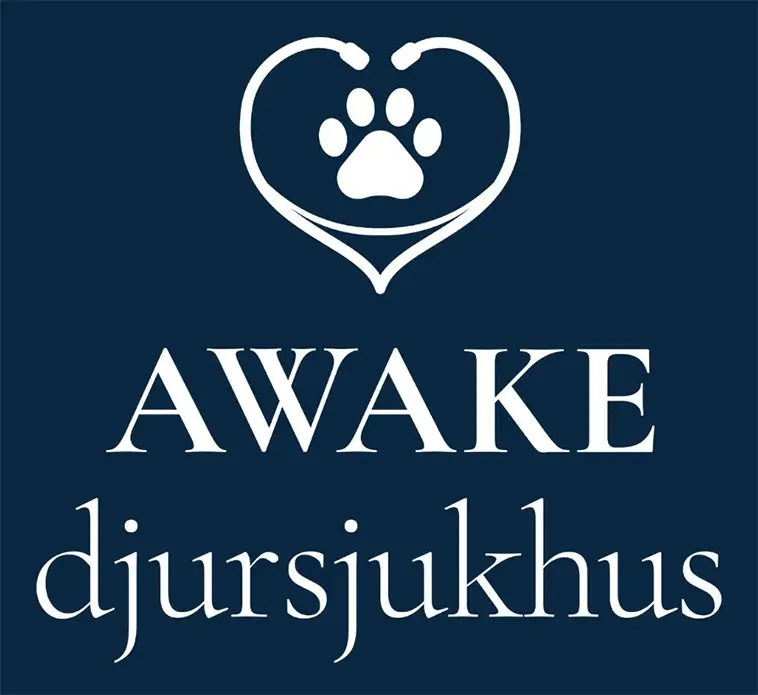 Veterinärkliniken öppnade dörrarna – bjöd utsatta hundägare på gratis djurvård