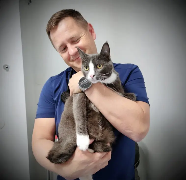 Förlorade ögat efter veterinärbesök – nu granskas Malmöveterinär