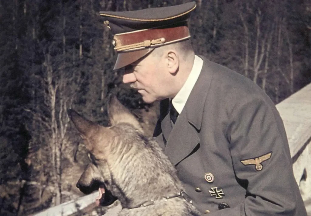 Hunden Blondi var Hitlers närmaste följeslagare