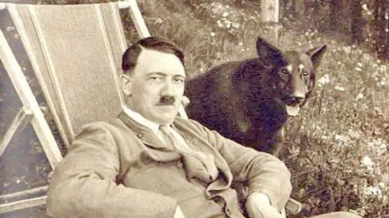 Hunden Blondi var Hitlers närmaste följeslagare