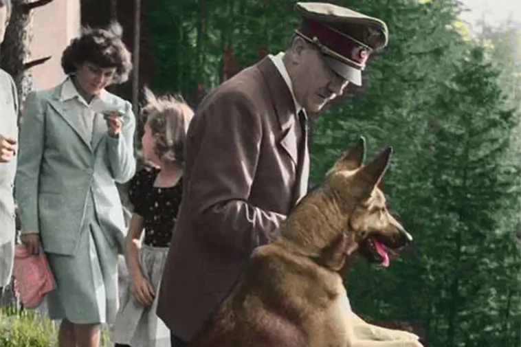 Hunden Blondi var Hitlers närmaste följeslagare