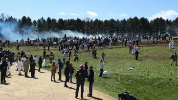 Efter massaktionen: 1 500 Beaglar köps loss från kritiserad anläggning