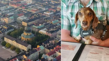 Fler butiker säger nej till hundar – reglerna skärps på Östermalm