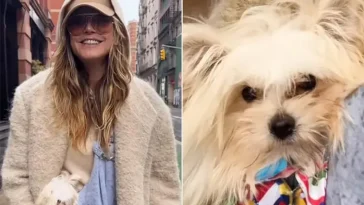 Heidi Klums oväntade beslut – räddade valpen som ingen annan ville ha