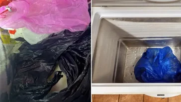 Fasansfull upptäckt i Umeå – döda hundar gömda i frys, kvinna åtalas