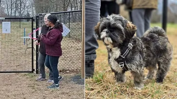 Ny hundrastgård blev succé – hundglädje fyllde Mariannelund