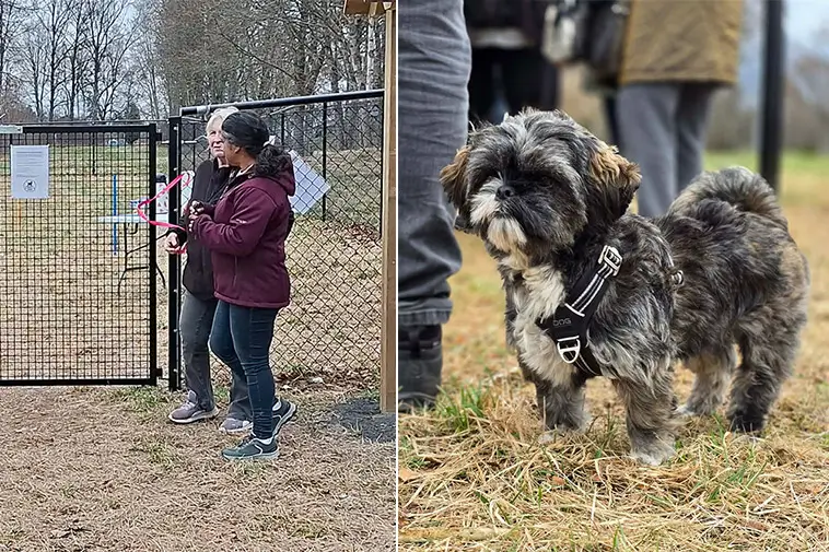 Ny hundrastgård blev succé – hundglädje fyllde Mariannelund