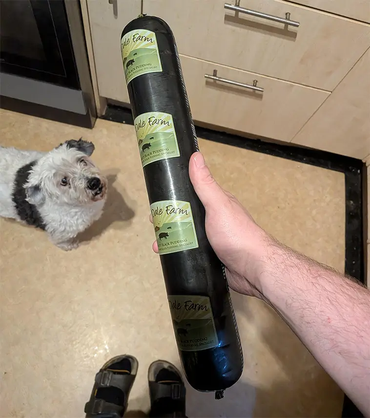 Kan hundar äta blodpudding? Det här gäller