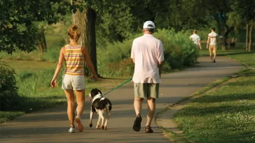 Så länge bör du promenera din hund – veterinärens tydliga riktlinjer