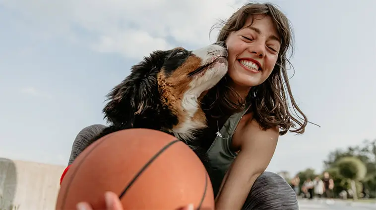 Forskning: Så stärker du relationen till din hund på bara några minuter om dagen