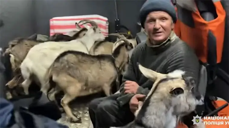 Ukraina: Djur räddas under beskjutning – men samtidigt växer kritiken