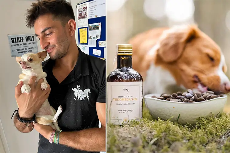 Veterinären varnar: 3 vanliga misstag kan förkorta din hunds liv