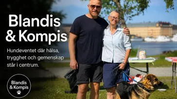 Hundeventet som sätter hälsan först – alla hundar välkomna till Djurgården