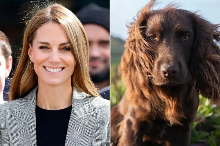 Prinsessan Kate berättar om livet med nya valpen Otto