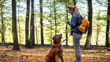 Studie: Så avslöjar din hundträning din syn på djur