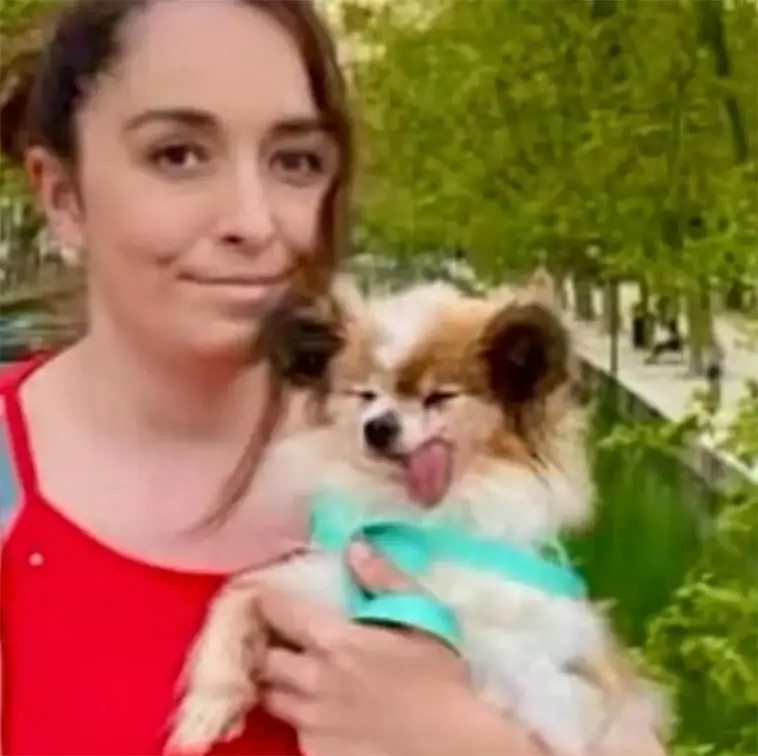 Kan bli världens äldsta hund – 31-årige Lazare får nytt hem