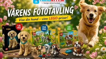 Nu drar vårens hundtävling igång – vinn LEGO med din bästa vårbild