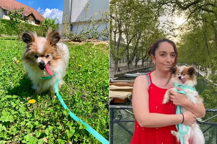 Världens kanske äldsta hund har somnat in – blev över 30 år gammal