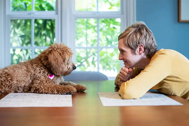 Prime Video inför reklam – betala extra för en annonsfri upplevelse